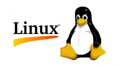 Servere Linux